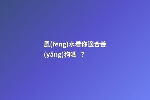 風(fēng)水看你適合養(yǎng)狗嗎？